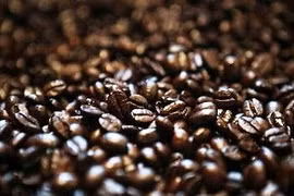 Exportation de 273.000 tonnes de café en janvier et février
