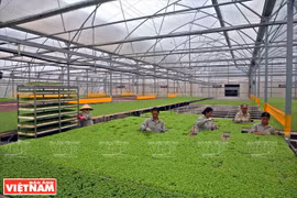 De nombreux obstacles pour le développement d’une agriculture high-tech 