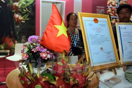 Des fruits du dragon du Vietnam présentés au Fruit Logistica 2017 à Berlin