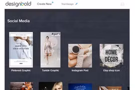 DesignBold, start-up de l’année 2016 