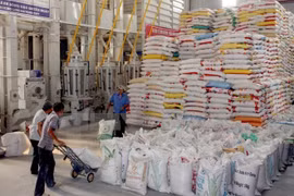 Le Vietnam fait don de 5.000 tonnes de riz à Cuba