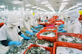 Les produits aquatiques vietnamiens très populaires aux Etats-Unis