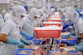 Près de 27 milliards d’USD des exportations de produits agricoles, sylvicoles et aquatiques
