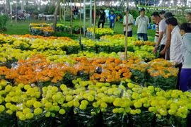La Foire des fleurs du printemps de Phu My Hung 2017 