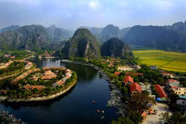 La beauté de la saison du riz mûr de la baie d’Halong sur la terre