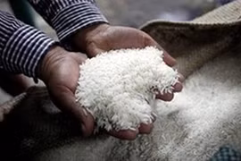 Le Laos prévoit d’exporter 400.000 tonnes de riz en 2017