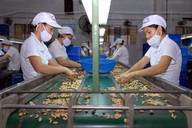 Agriculture : efforts pour reprendre la croissance