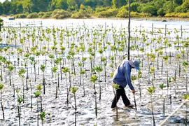 La Finlande accompagne le Vietnam dans la lutte contre les changements climatiques