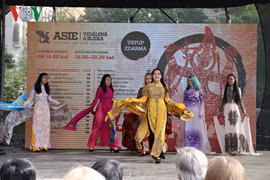 Promotion de l’image du Vietnam au Festival culturel de l’Asie