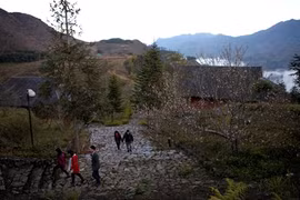 Lao Cai: forte croissance de l'afflux touristique pendant le Têt du Coq