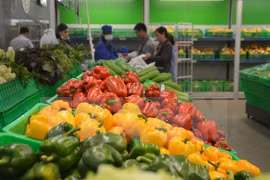 Plus de 33 milliards d’USD d'exportations de produits agricole, sylvicole et aquatique