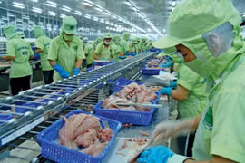 La Chine, marché cible pour les pangasius du Vietnam en 2017