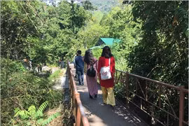 Départ en safari au Parc national de Phuoc Binh, dans le Centre