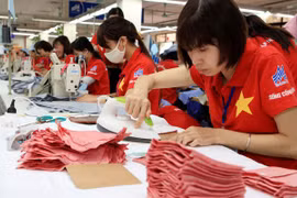  Le CPTPP offre des opportunités d'exportations vietnamiennes au Japon