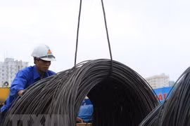 Défis pour l’acier et le fer vietnamiens