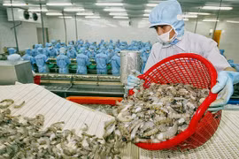 Les exportations nationales de crevettes visent 4 milliards de dollars en 2019