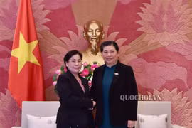Renforcement des relations Vietnam-Laos dans l’audit