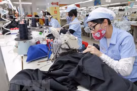Les relations économiques entre le Vietnam et la Russie en plein essor