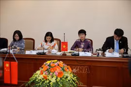 Pour une coopération plus efficace entre VNA et Xinhua