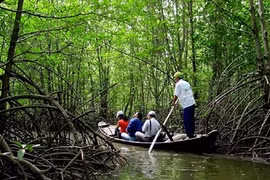 Lutter contre l’érosion de la biodiversité au Vietnam