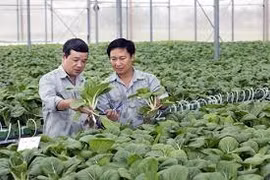 De grands groupes vietnamiens s’intéressent de près à l’agroalimentaire