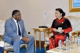 Le Vietnam donne la priorité aux activités de l'Union interparlementaire