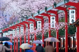 Le Vietnam en tête du tourisme entrant au Japon