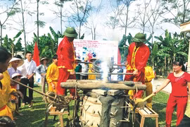 Thanh Hoa développe durablement ses villages de métiers 