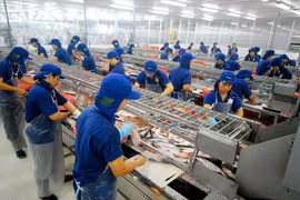 Les EAU, premier débouché des pangasius du Vietnam au Moyen-Orient