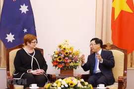 Vietnam-Australie : entretien entre les deux ministres des Affaires étrangères