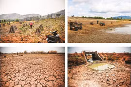 Le réchauffement climatique menace l’agriculture du Tây Nguyên