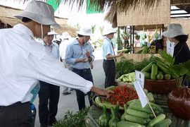 Expansion des superficies de production agricole high-tech à Hô Chi Minh-Ville
