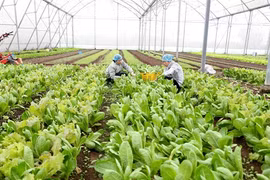 Sciences et technologies pour une agriculture moderne