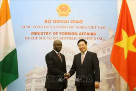 Consolidation des relations Vietnam-Côte d’Ivoire