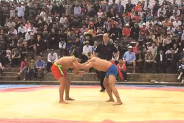 La lutte libre, une particularité du Têt à Hanoi