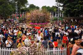 Sakura: Quand Hanoi se met à l’heure japonaise