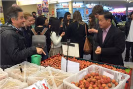 L’intégration internationale aide le Vietnam à élargir ses marchés de produits agricoles