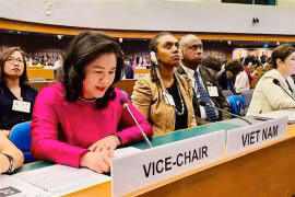 La vice-ministre du Travail, des Invalides et des Affaires sociales Nguyen Thi Ha. Photo : VNA
