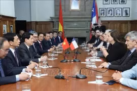 Le président de l'État Luong Cuong reçoit la présidente du Parti socialiste du Chili Paulina Vodanovic à Santiago le 10 novembre (heure locale). Phôt . VNA