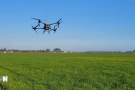  Le Vietnam encourage la transformation numérique dans l’agriculture