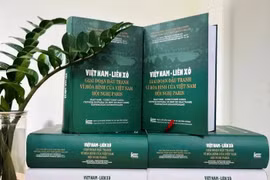 Photo: VietnamPlus