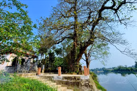 Phuoc Tich - le plus beau village antique de Huê