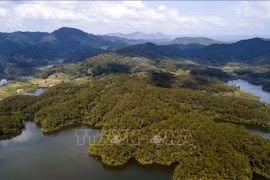 La zone touristique de Khuon Than à Bac Giang. Photo: VNA