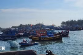 Des bateaux de pêche qui ne sont pas enregistrés, non immatriculés et sans permis de pêche, sont surveillés étroitement. Photo: VNA