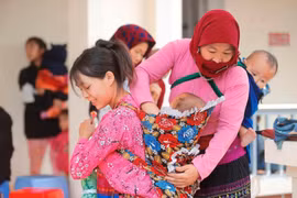 Les efforts du Vietnam pour éliminer la violence faite aux femmes