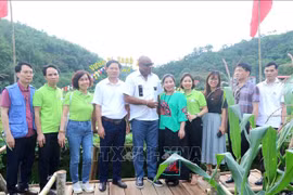 Le 9 mai, la délégation de la FAO a visité plusieurs modèles de coopératives soutenus par FFF dans le district de Ba Be. Photo: VNA