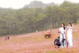  Da Lat: Festival des herbes roses au pied de la montagne de Lang Biang