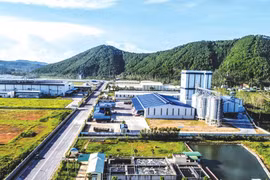 Investissement: la région septentrionale du Centre de plus en plus attractive pour les Viet kieu