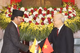 Vietnam-Brunei : entretien entre Nguyen Phu Trong et Haji Hassanal Bolkiah