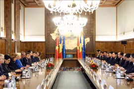 Vietnam-Roumanie : entretien entre les deux Premiers ministres